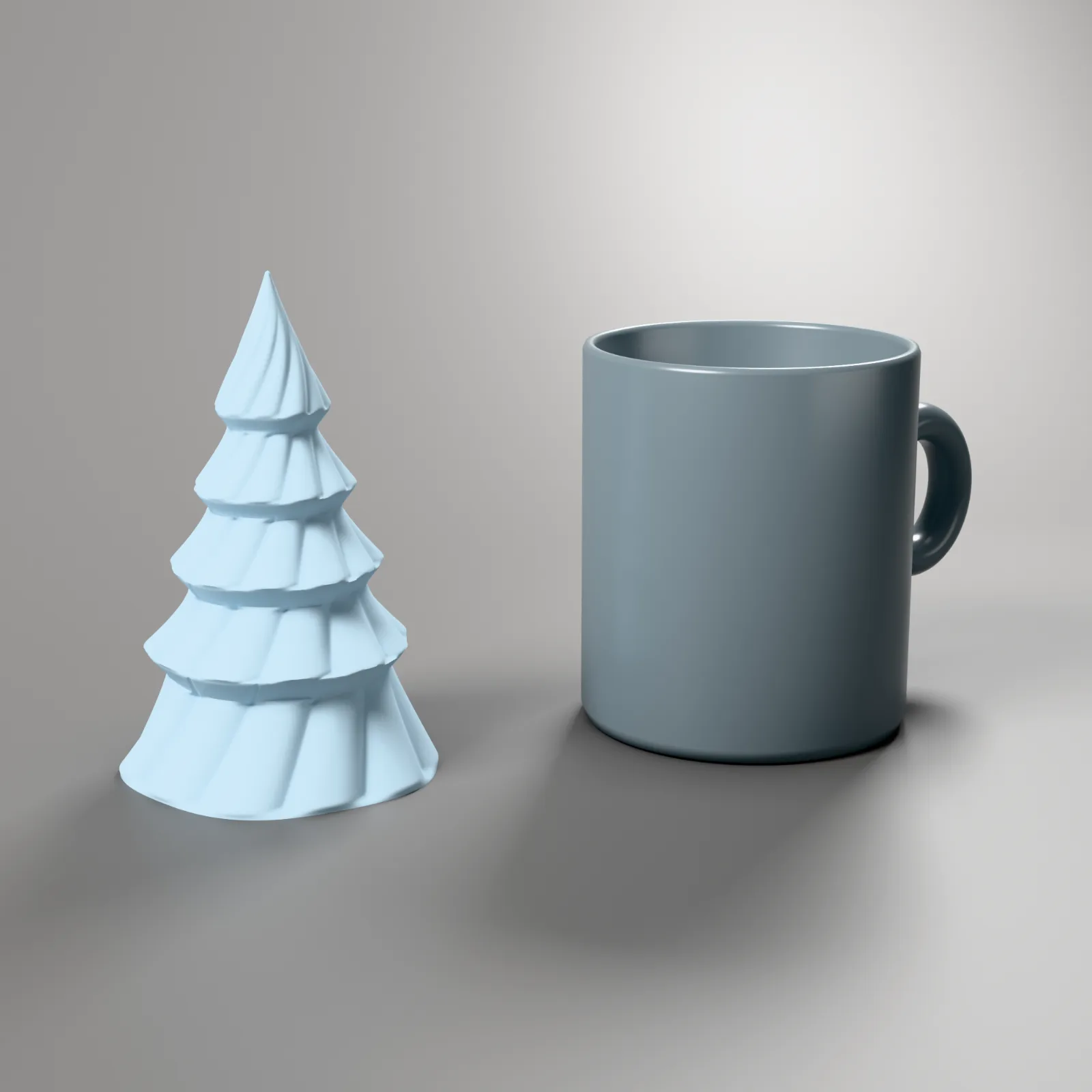Gedrehte Tanne groß, Größenvergleich mit einer Kaffeetasse